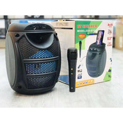 Microphones, Portable Speaker System