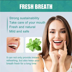 Fresh Breath Essence – Instant Oral Freshener Drops for Clean Breath