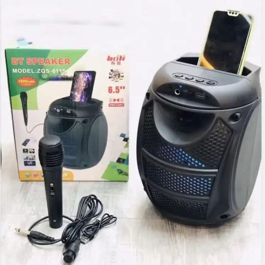 Microphones, Portable Speaker System