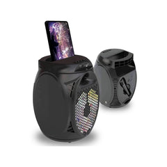 Microphones, Portable Speaker System